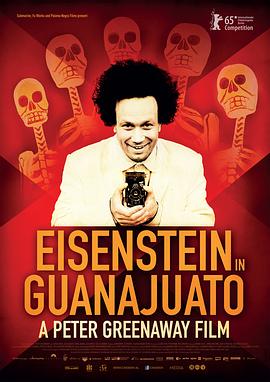 ��ɭ˹̹�ڹ��ɻ��� Eisenstein in Guanajuato�������