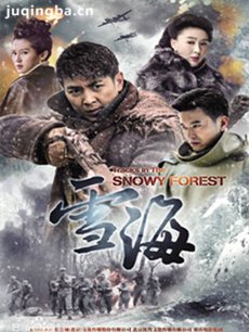 ���Ӿ�ѩ��������ܹ�40��(�������)