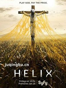 ˫�����ڶ����������(��13��)