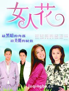 ̨�����Ӿ硶Ů�˻����������(��40��)