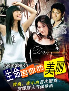 ��������������������(��20��)