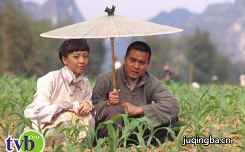 ���ǹ��紼�������(��42��)