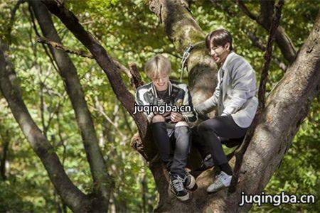 ��������ѧУ�������(��16��)