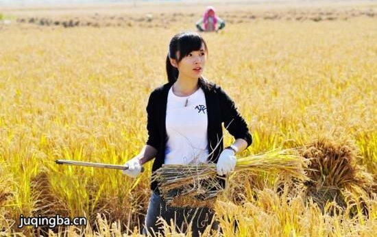 ��ɫũ�Ҿ������(��30��)