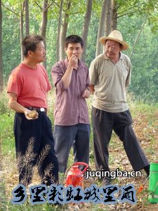 ����ʺ������������(��65��)