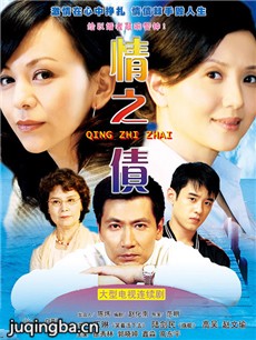 ���ž���֮��ծ�������(��25��)