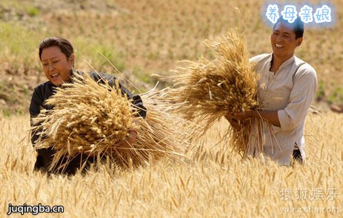 ��ĸ����������(��40��)