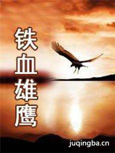 ��Ѫ��ӥ�������(��40��)