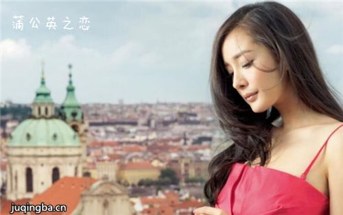 �ѹ�Ӣ֮���������(��50��)