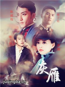 ����������(��46��)