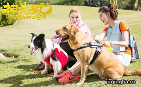 ��ȮС��2�������(��42��)