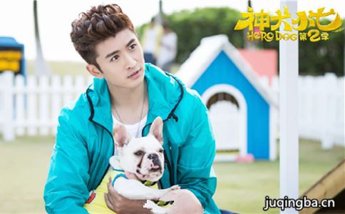 ��ȮС��2�������_��ȮС��2������(��42��)