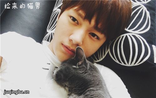 ������è�о������(��10��)