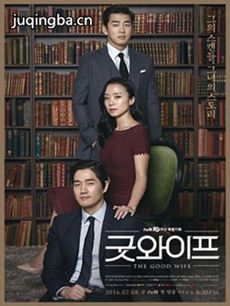 ����Good Wife�������(��16��)
