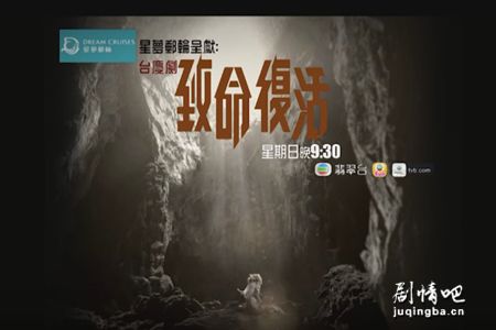 tvb��������������(��28��)