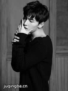 ����Ԥ�ϵ����˾������(��20��)