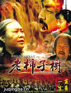 ���������������(��28��)