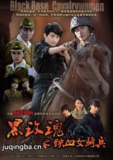 �����õ��������(��31��)