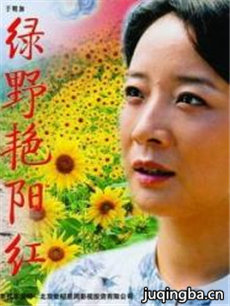 ��Ұ������������(��24��)