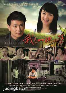 ����һ��С�ݾ������(��43��)