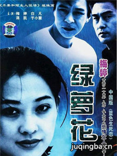 ���ܻ��������(��25��)