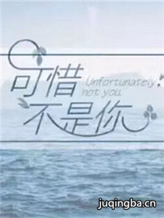 ���Ӿ硶��ϧ�����㡷�������(��24��)