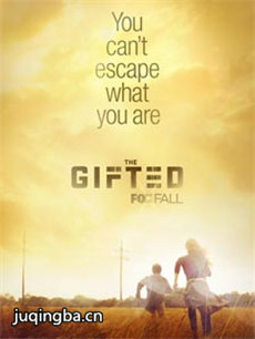 �츳�����������(��13��)