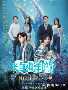 ���Ժ������������(��28��)