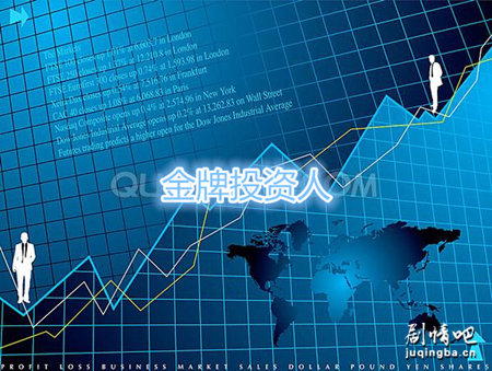 ����Ͷ���˾������(��44��)