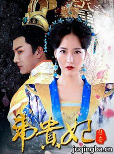 Τ��������������(��12��)