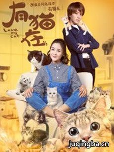 ������è�ھ������(��12��)