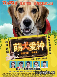 ��Ȯ����������(��12��)