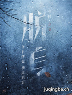 �����������(��46��)