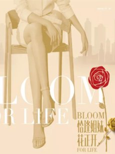 ǡ����û������������(��41��)