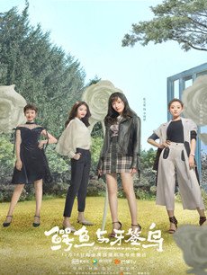 ��������ǩ��������(��50��)