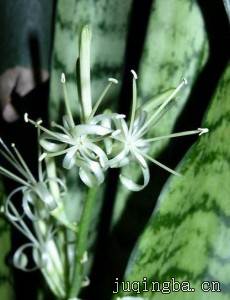 ��Ů�����������(��20��)