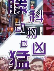 �ٿƶ���Ҳ���;������(��50��)