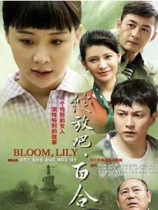 ���ŰɰٺϾ������(��50��)