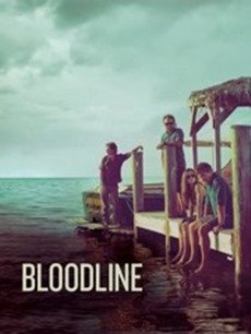 ����Ѫͳ�������(��13��)