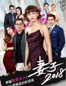 ̩������2018�������(��29��)