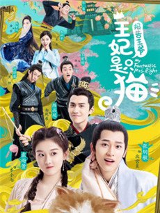 ������ү��������ֻè�������(��24��)