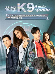 ��̽K9�������(��17��)