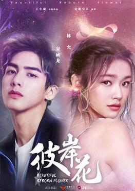 �˰����������(��50��)