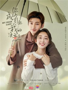 ��ɹ������ҵ�ע���˾������(��16��)