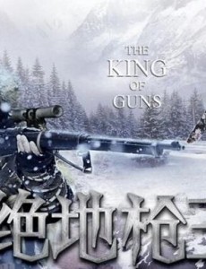 ����ǹ���������