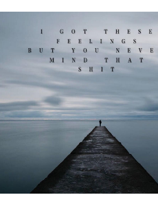 ��ɩ�黳�������