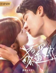 ����17����������