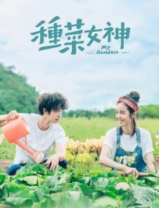 �绨�ƻ�������