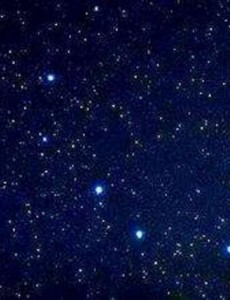 ���ľ������