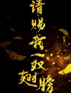 ���㷭���������